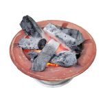 The Safety of Cooking with Binchotan Charcoal